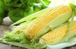 Our grain of choice is North American Non-GMO corn. Its delicate, subtle, and gluten free.